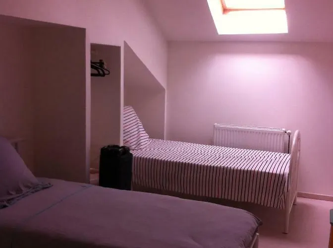 Du Montagnard Oxelaere