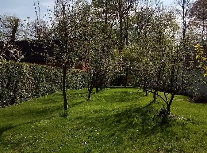 Du Montagnard