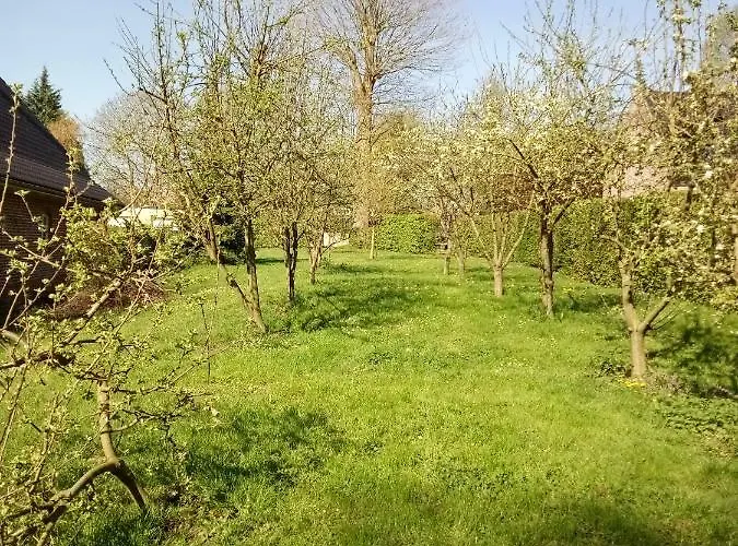 Hébergement de vacances Du Montagnard Oxelaere