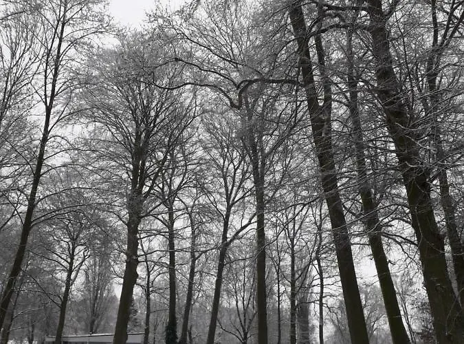 Du Montagnard Casa vacanze